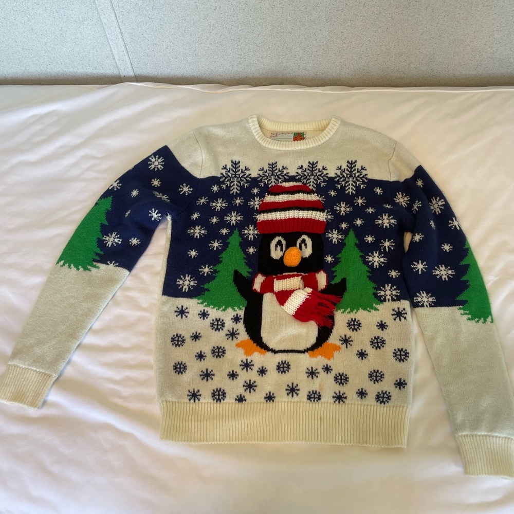 Festive Penguin Sweater - Blue and Green